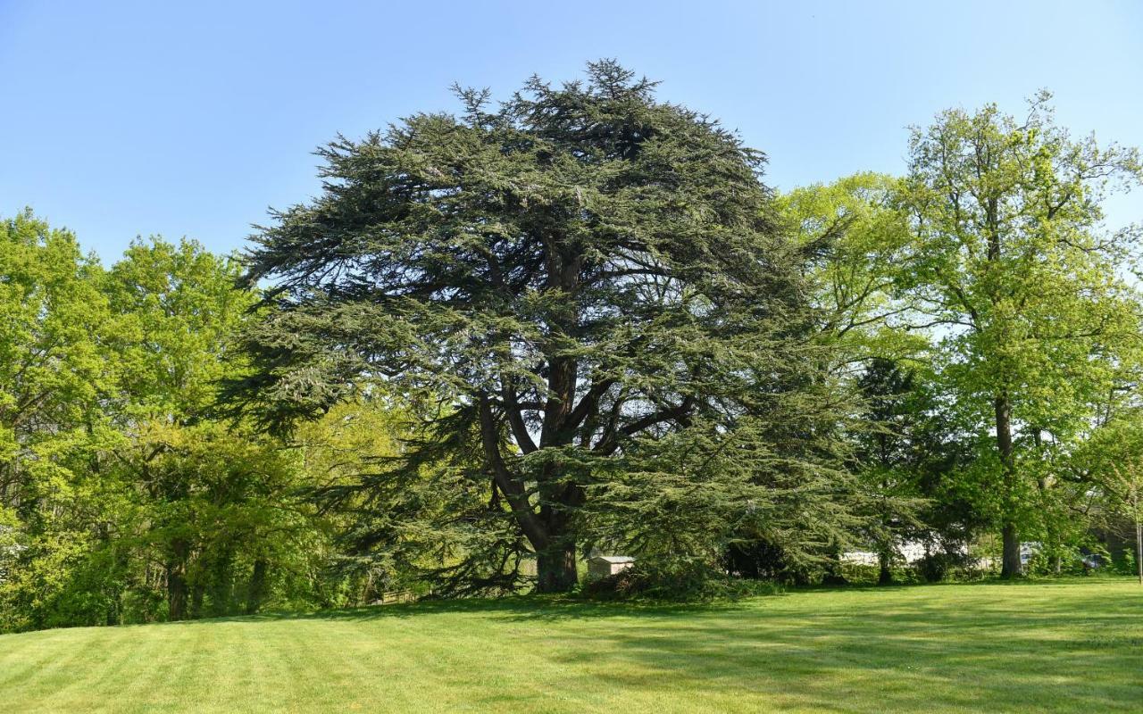 Chateau De La Grand'Cour Bed and Breakfast Grandchamp-des-Fontaines Buitenkant foto